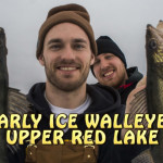 Red Lake Walleye